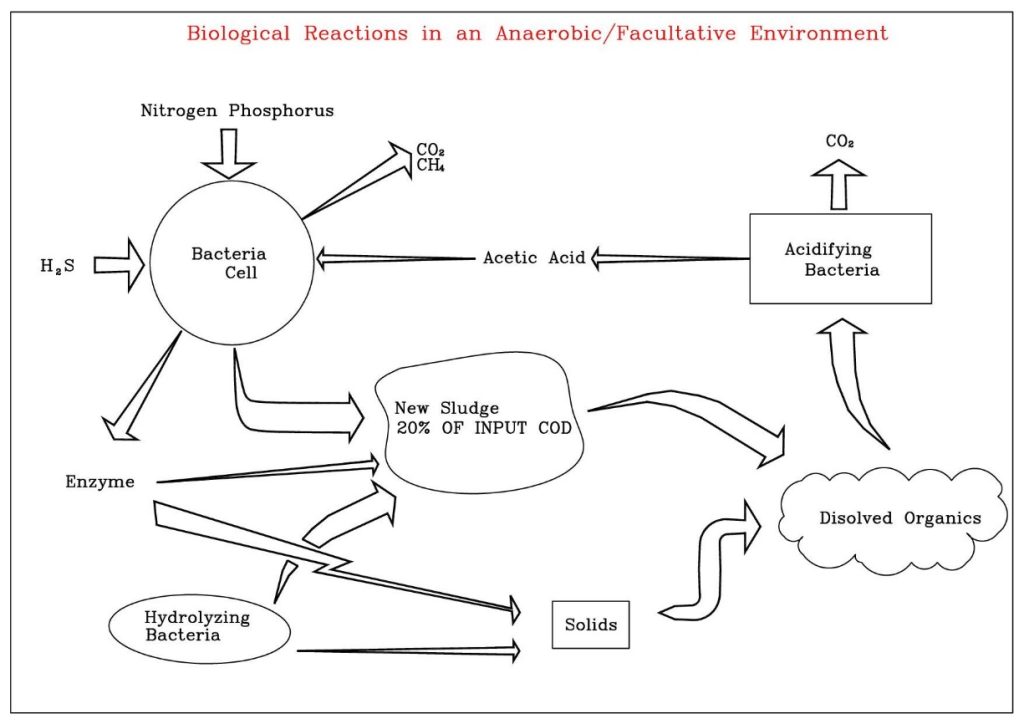 ydro process