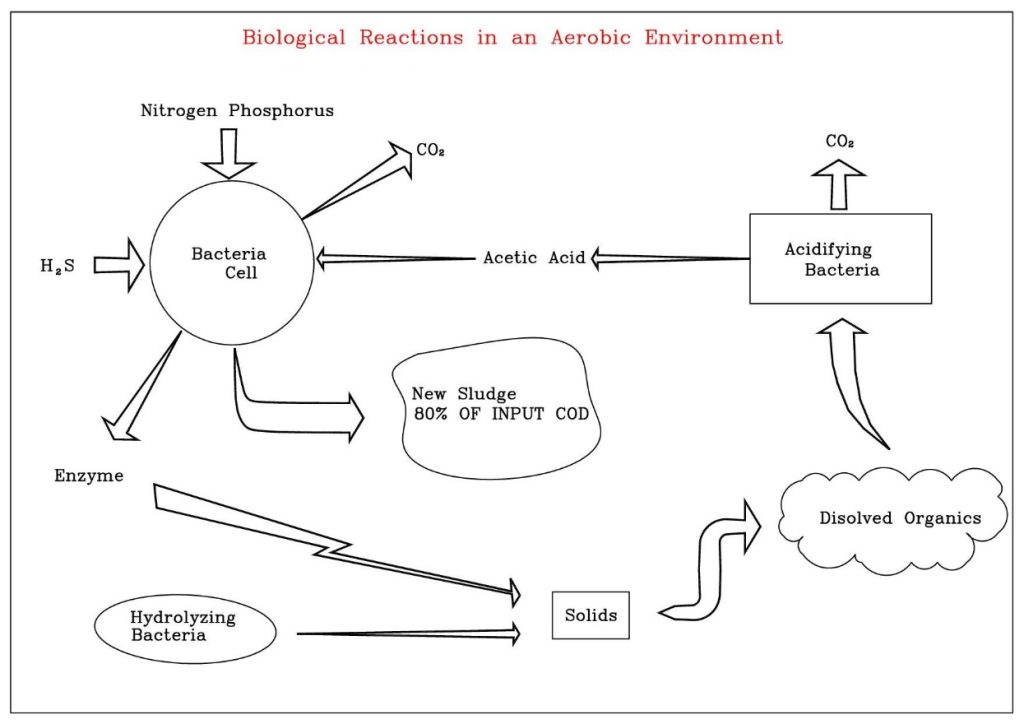 ydro process